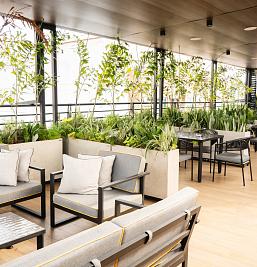 Galería de imágenes del Hotel Buena Vista Express