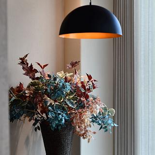 Hotel Buena Vista Express